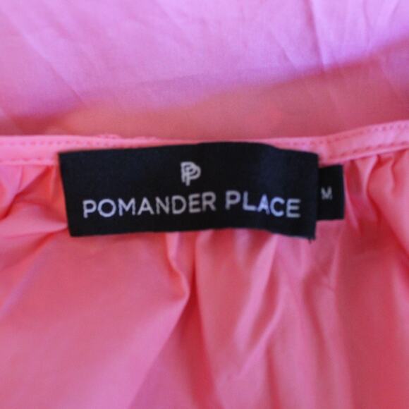 Tuckernuck Pomander Place Blouse Medium Pink Puff Sleeve Sheer Romantic Career - Picture 5 of 7